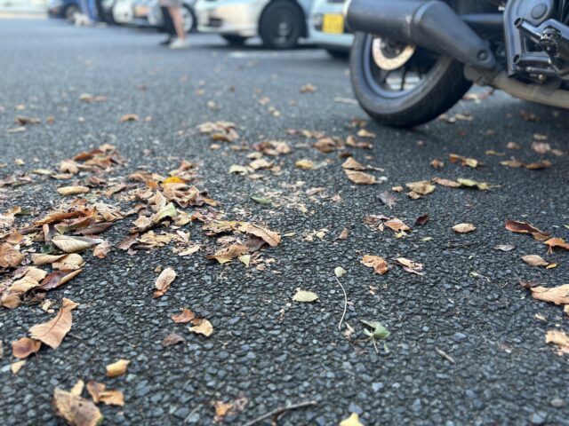 コインパーキングの管理は大変？日々の業務とプロに任せる方法