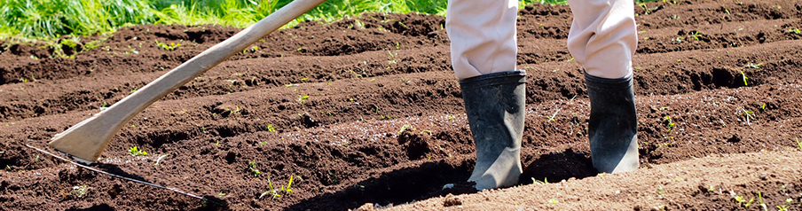 市民農園・貸し農園のイメージ画像