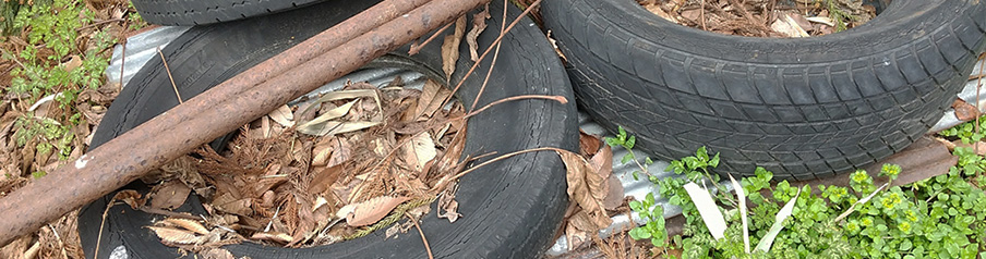 雑草・不法投棄による近隣トラブルを表す画像