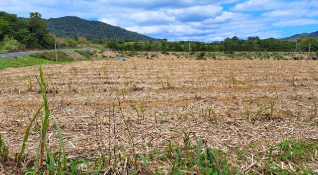 田舎の土地活用は難しい？需要が少ない土地を収益化する方法 「相続した田舎の土地