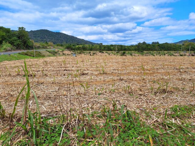 田舎の土地活用は難しい？需要が少ない土地を収益化する方法 「相続した田舎の土地
